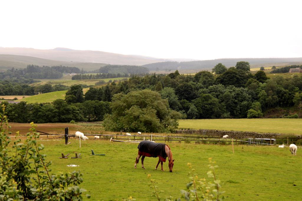 Hollybush Inn Greenhaugh Eksteriør bilde